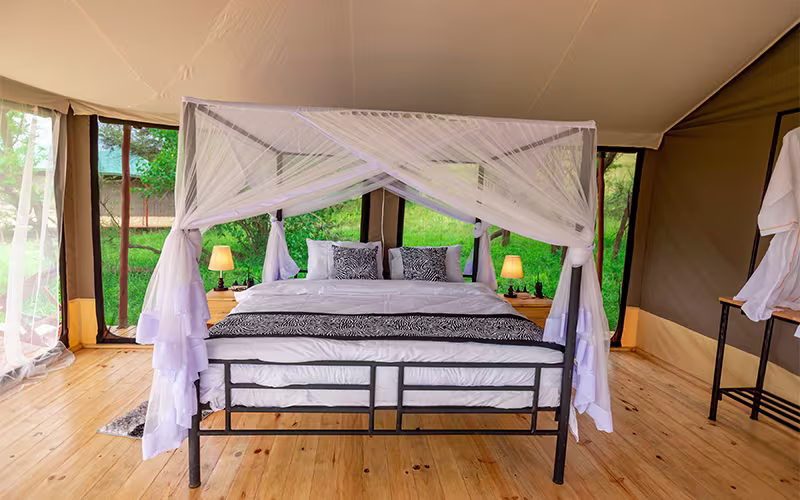 Single Tent Interior