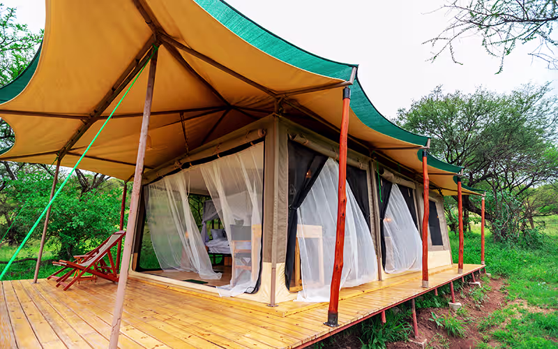 Single Tent Interior