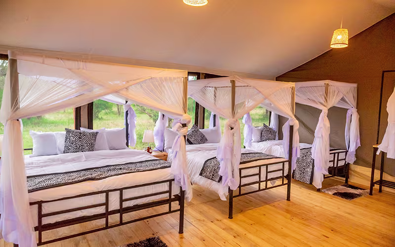 Single Tent Interior
